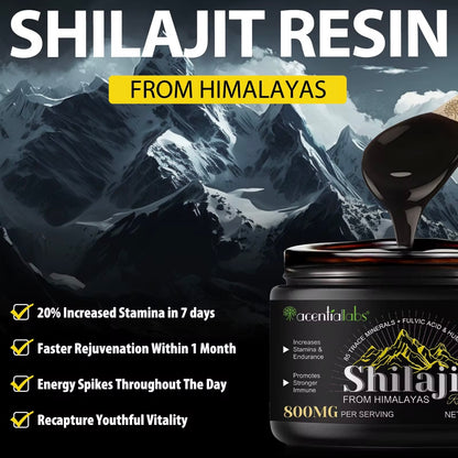 🌿 Shilajit Original Himalaya Bio – 60g Reines Shilajit Harz, Geprüft✅