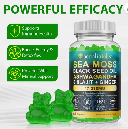 🌿60 Gummies Sea Moss 17,590mg Schwarzkümmelöl Aschwagandha Shilajit + Ginger