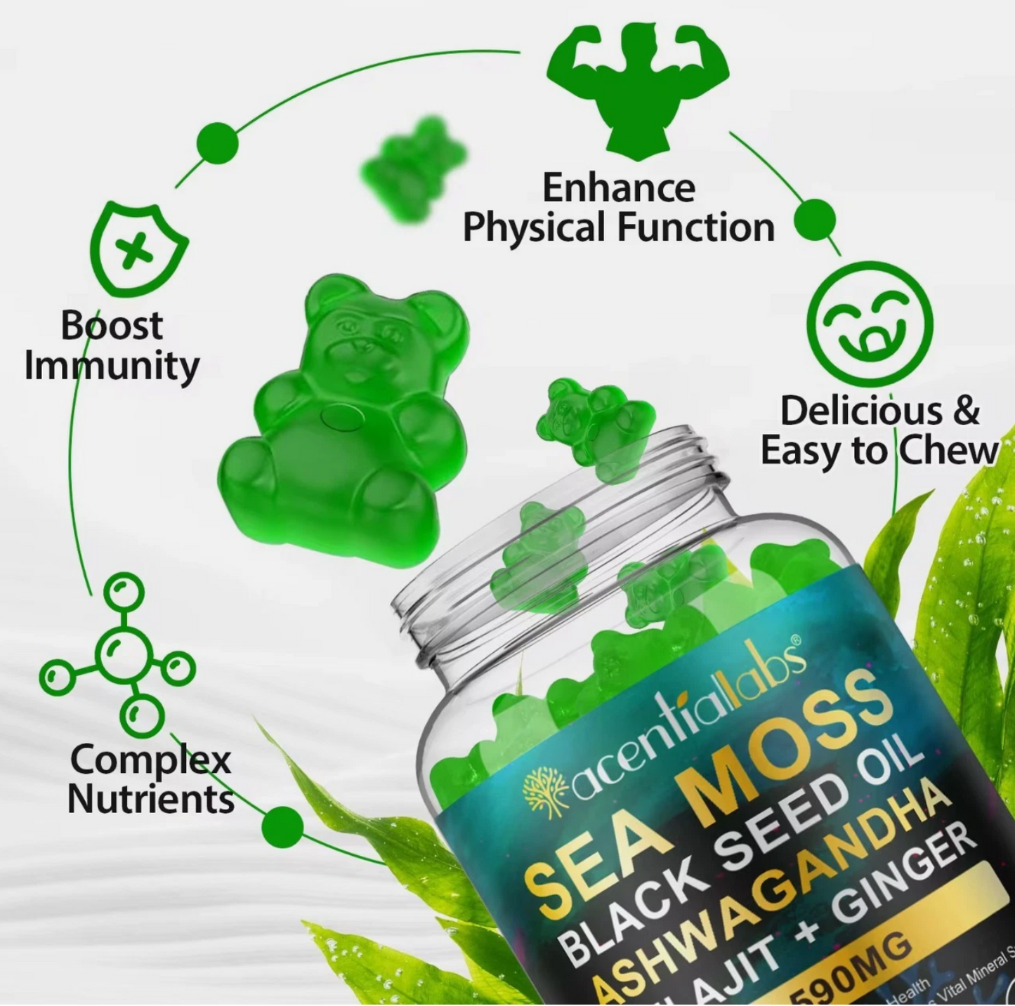 🌿60 Gummies Sea Moss 17,590mg Schwarzkümmelöl Aschwagandha Shilajit + Ginger